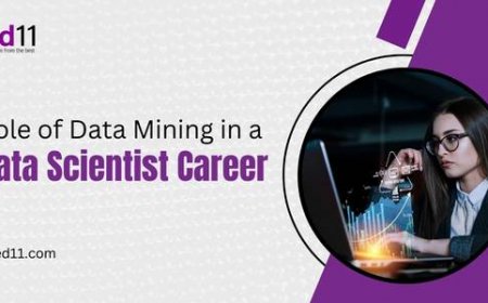 Role of Data Mining in a Data Scientist Career