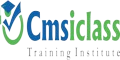 Cmsiclass Training Institute