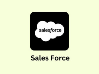SalesForce Training